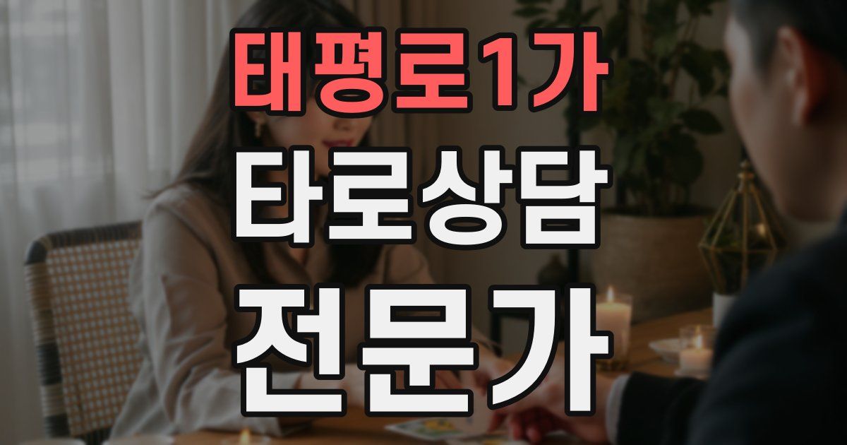 태평로1가 타로상담전문가 자격증