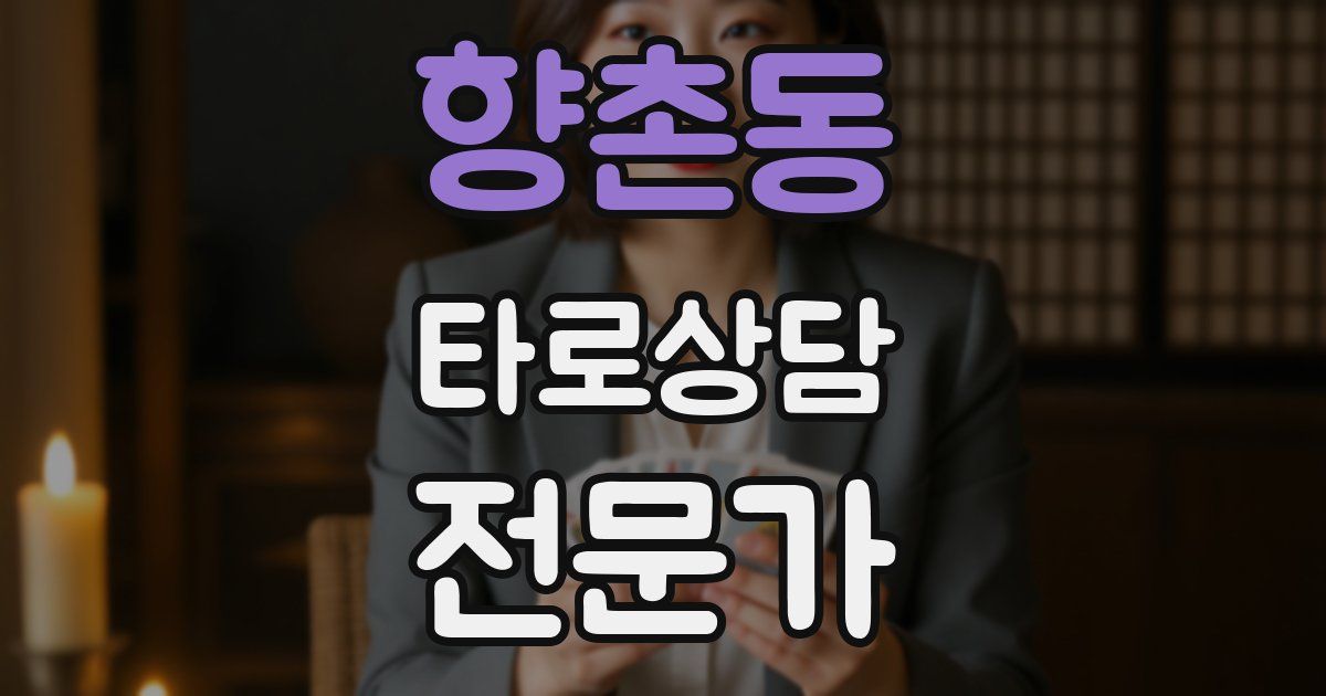 향촌동 타로상담전문가 자격증