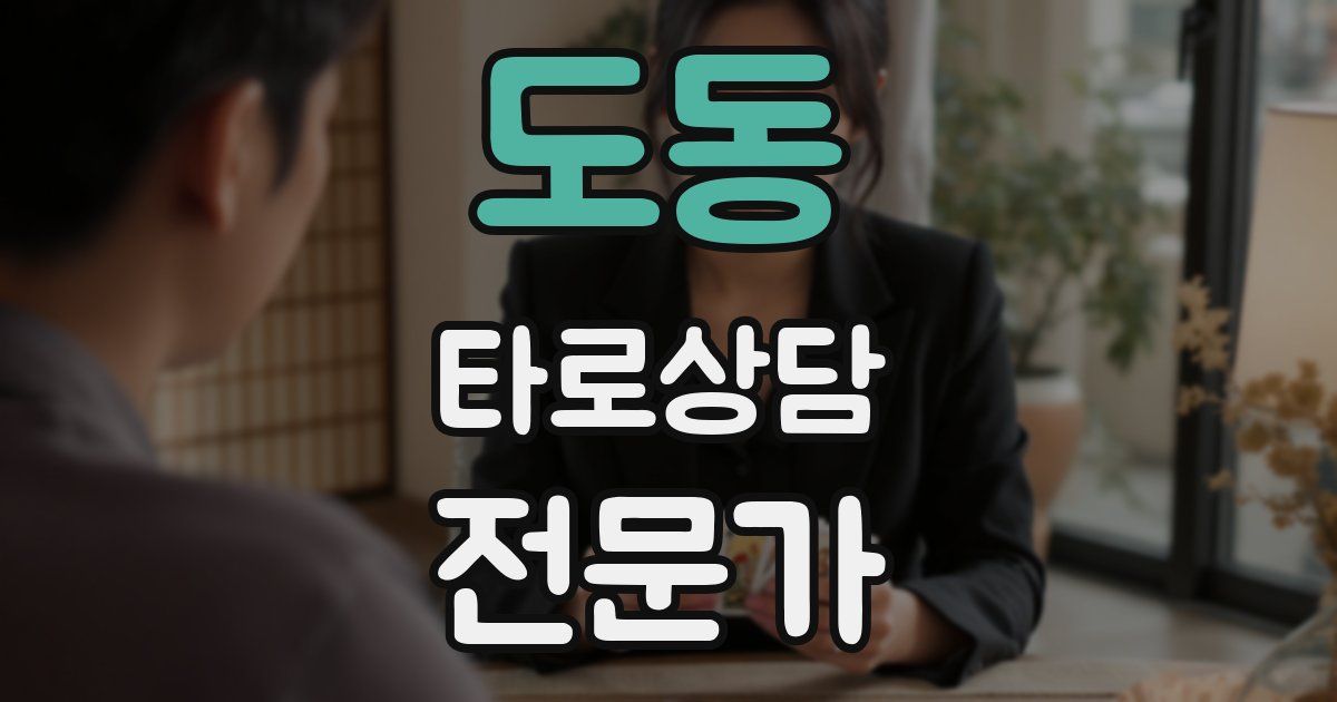 도동 타로상담전문가 자격증