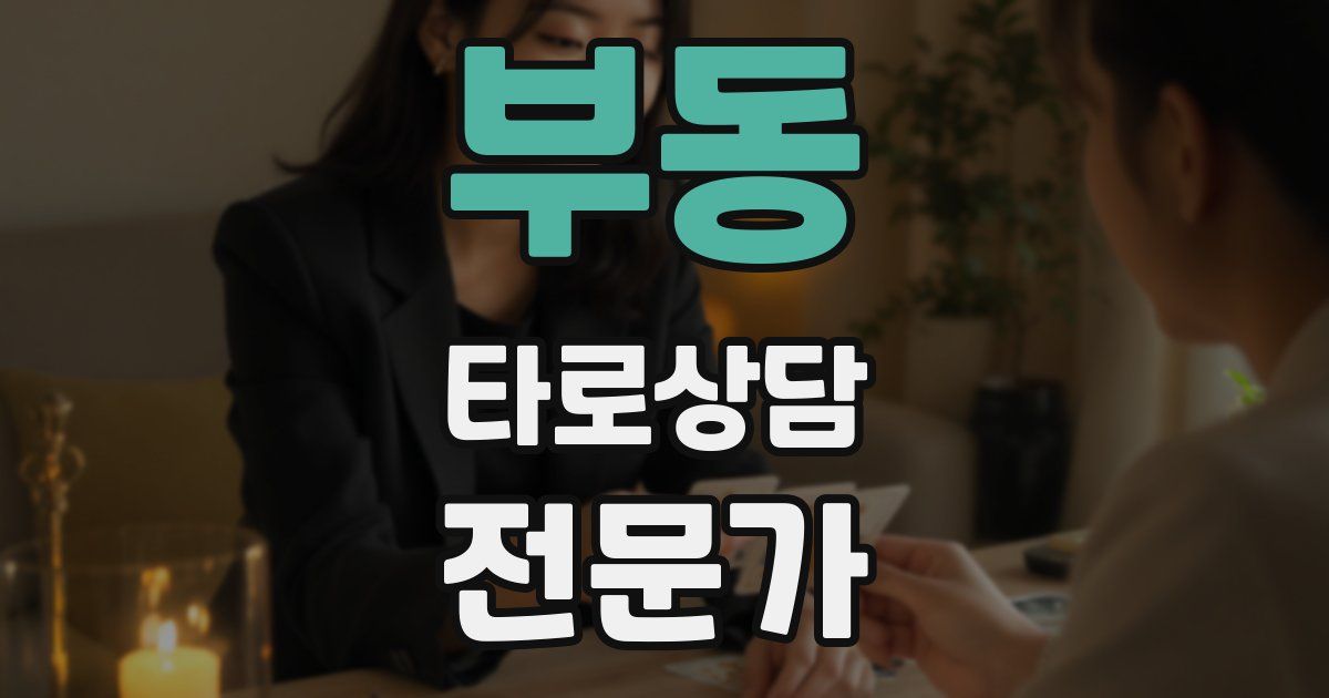 부동 타로상담전문가 자격증