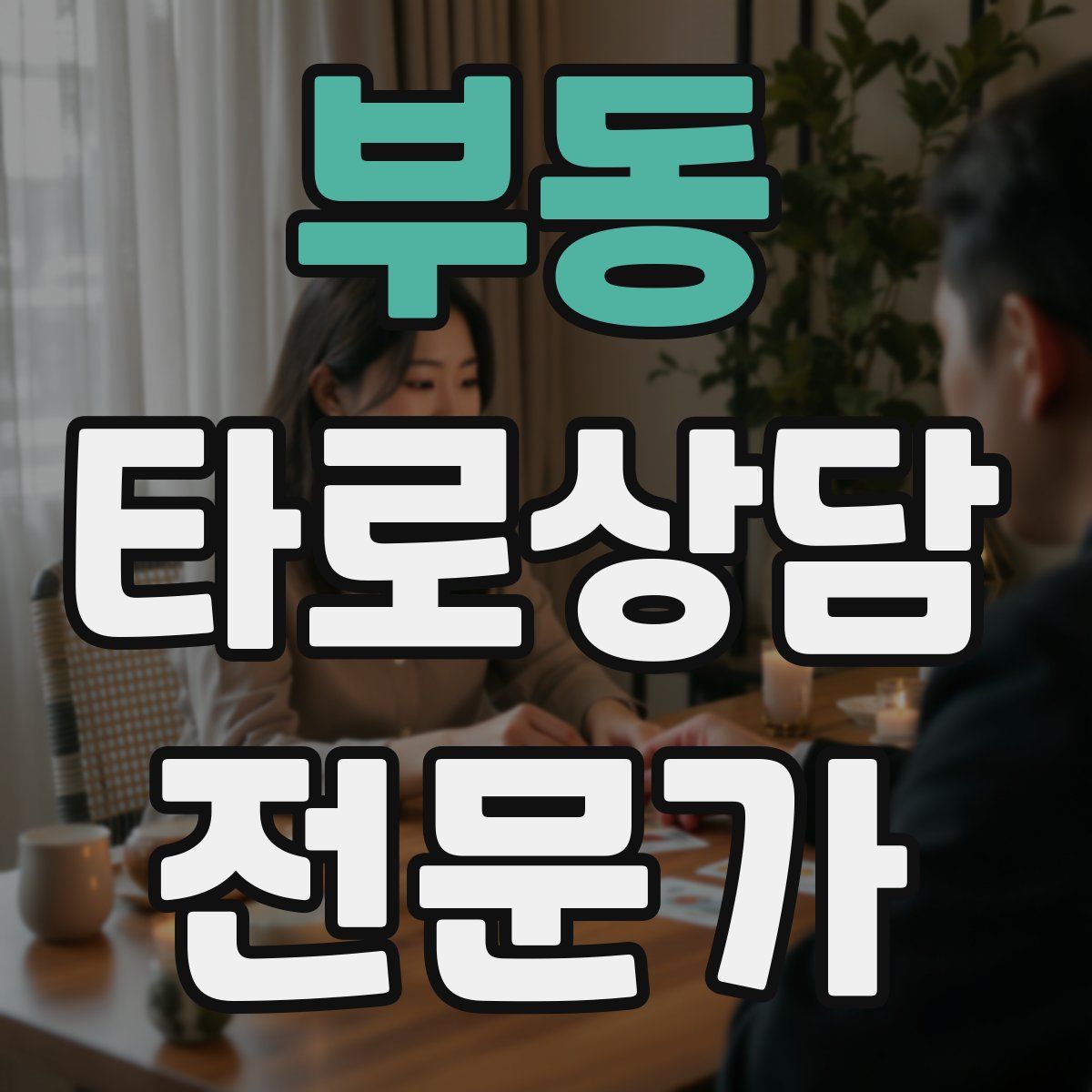 부동 타로상담전문가 자격증