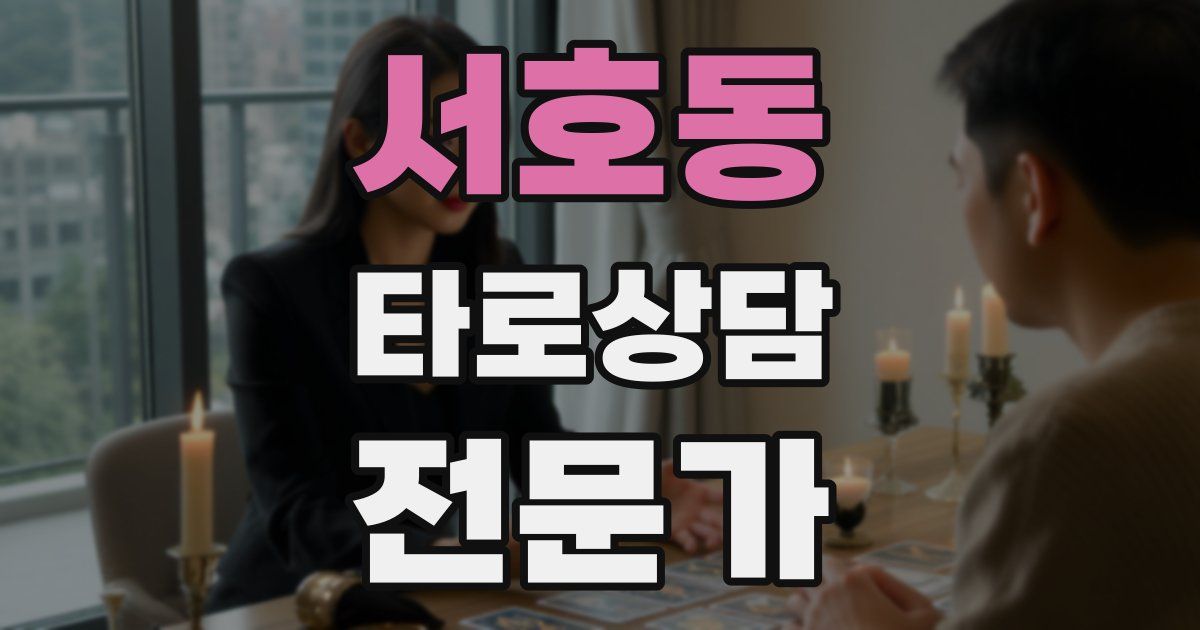 서호동 타로상담전문가 자격증