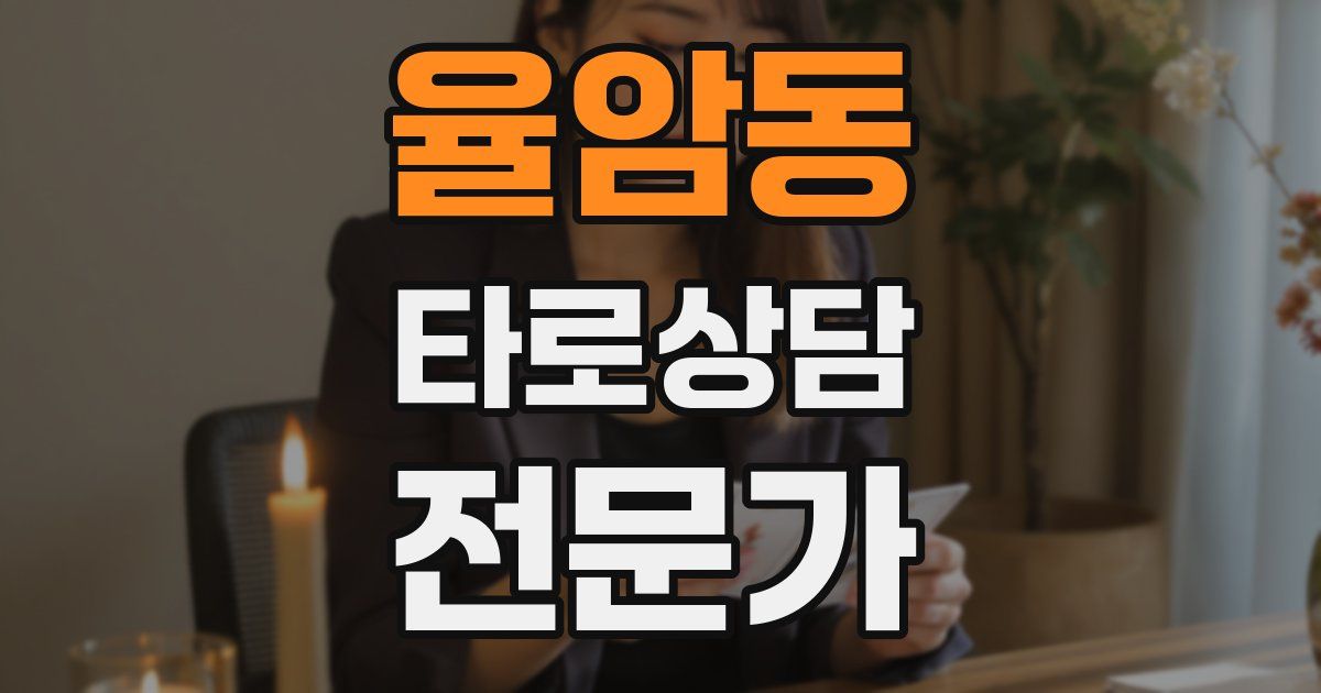 율암동 타로상담전문가 자격증