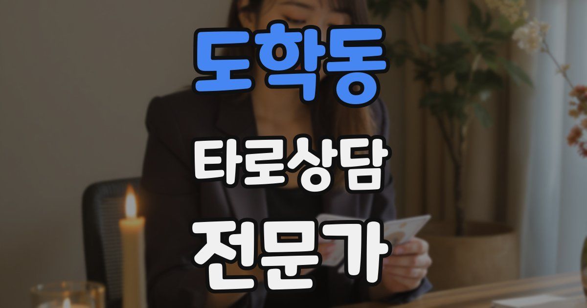 도학동 타로상담전문가 자격증
