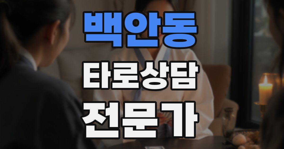 백안동 타로상담전문가 자격증