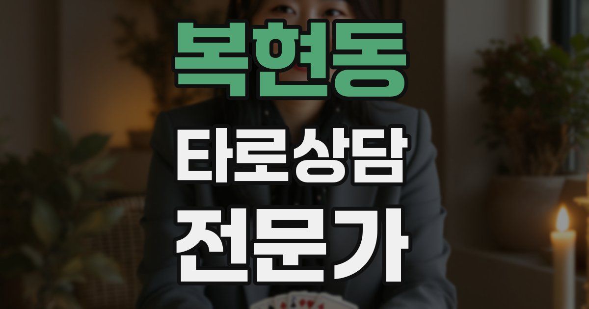복현동 타로상담전문가 자격증