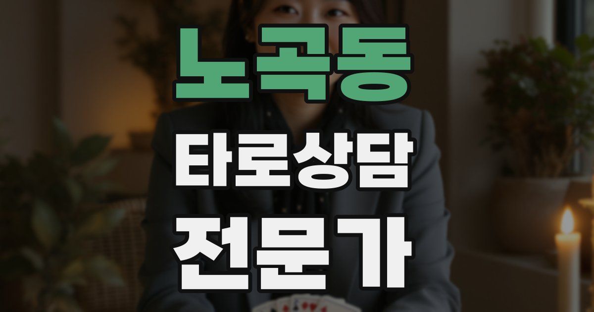 노곡동 타로상담전문가 자격증