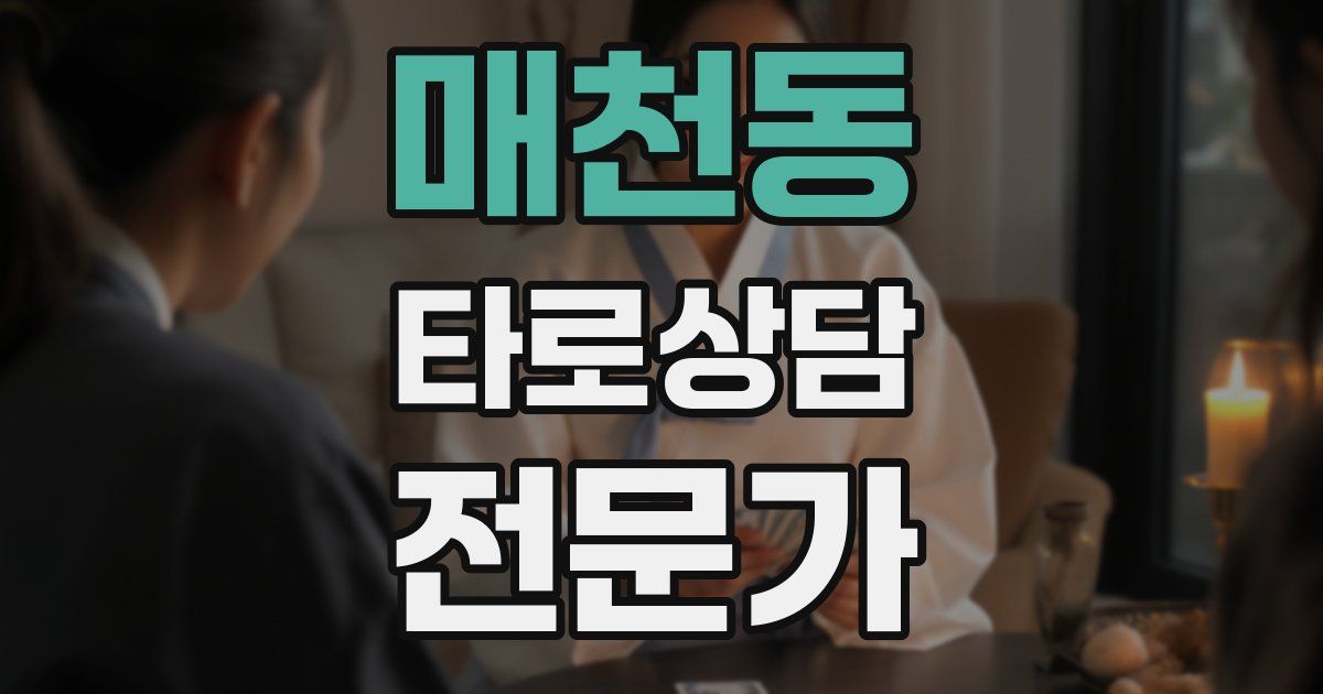 매천동 타로상담전문가 자격증
