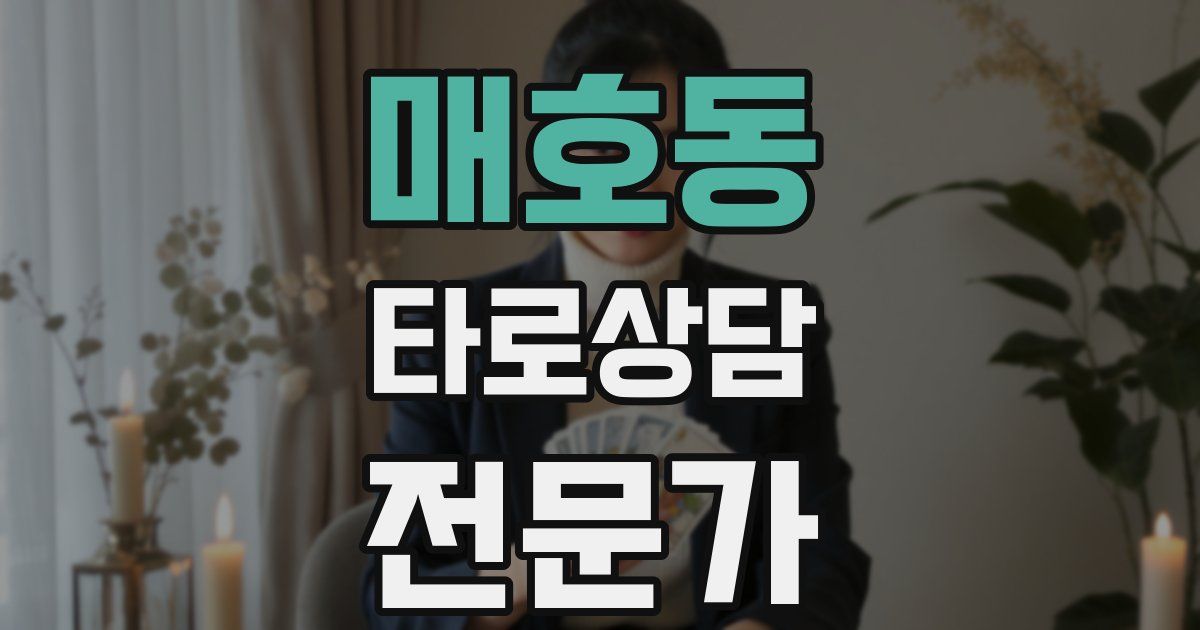 매호동 타로상담전문가 자격증
