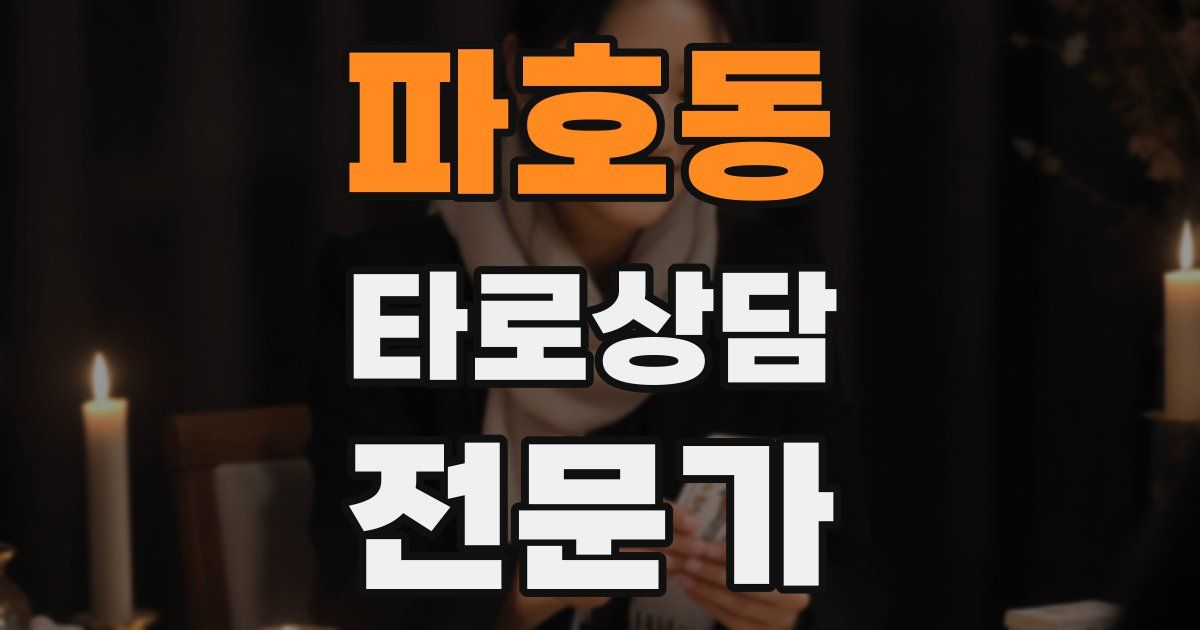 파호동 타로상담전문가 자격증
