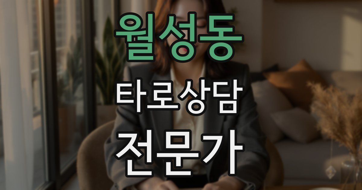 월성동 타로상담전문가 자격증