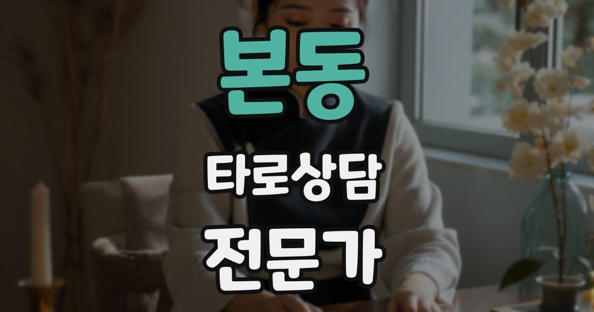 본동 타로상담전문가 자격증