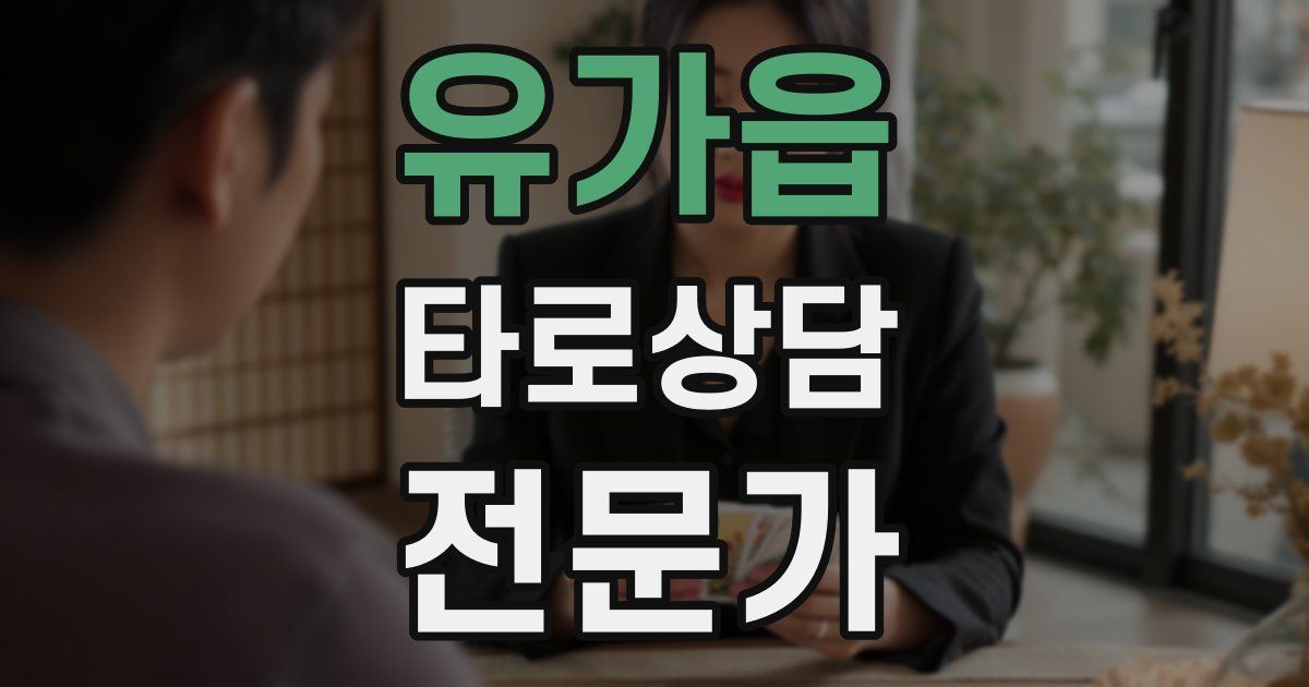 유가읍 타로상담전문가 자격증