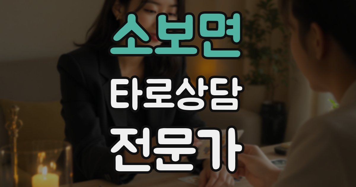 소보면 타로상담전문가 자격증