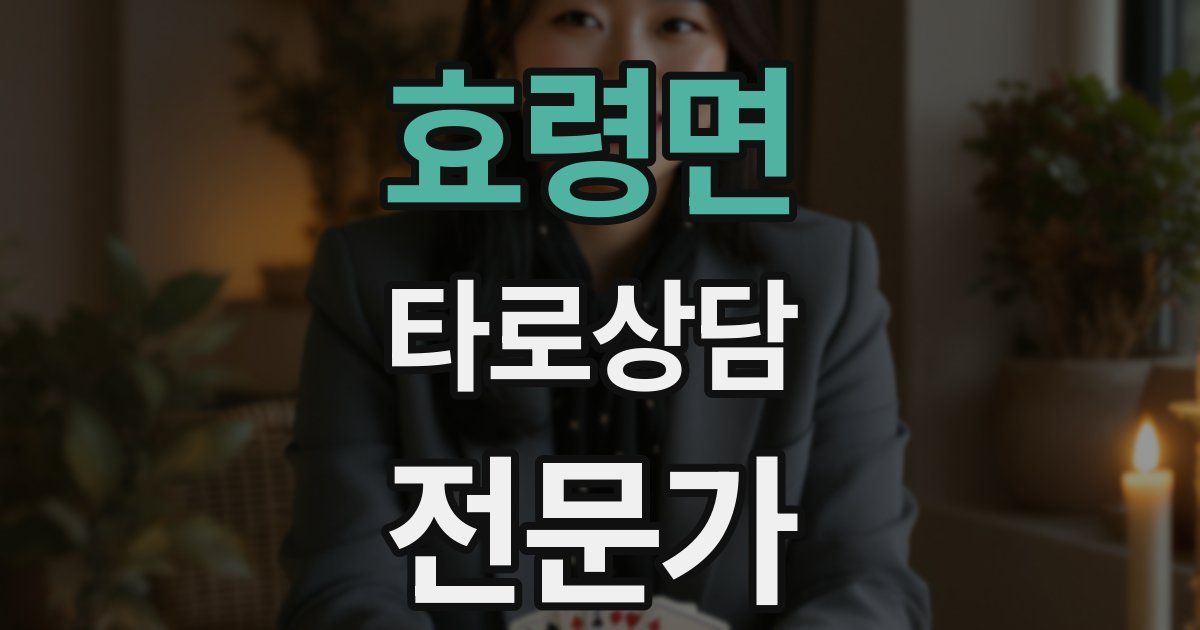 효령면 타로상담전문가 자격증