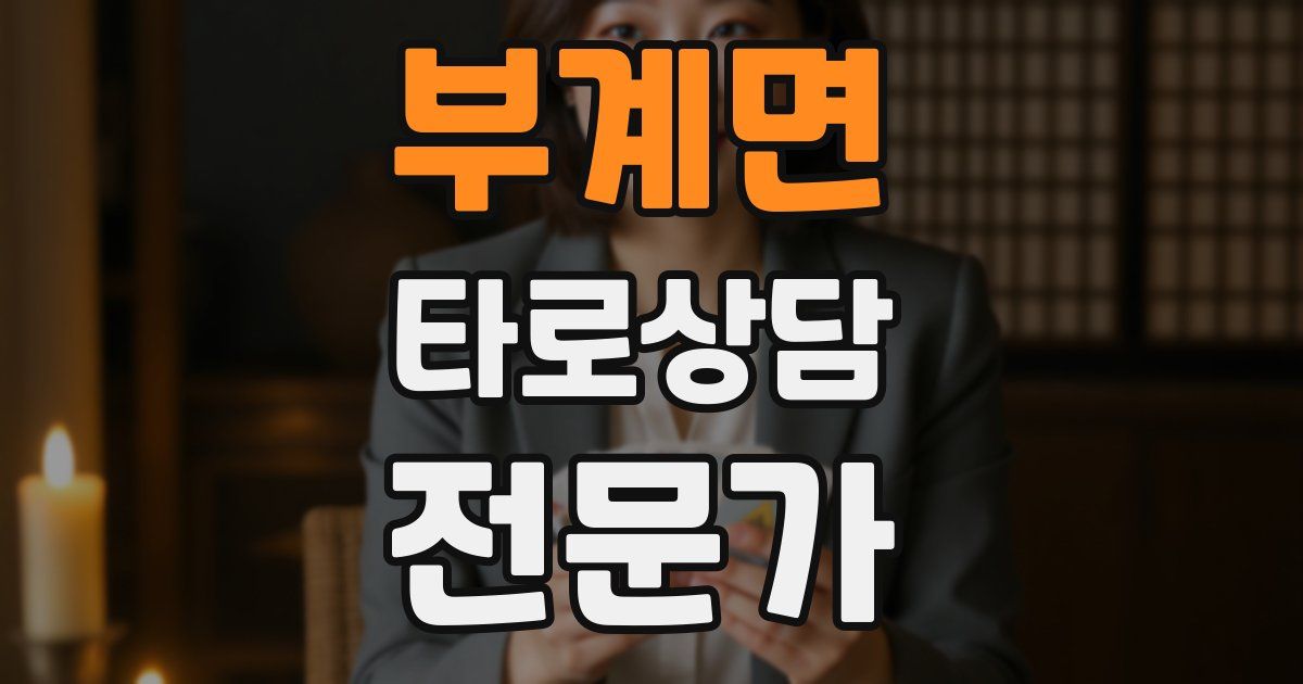 부계면 타로상담전문가 자격증