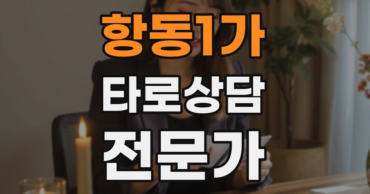 항동1가 타로상담전문가 자격증