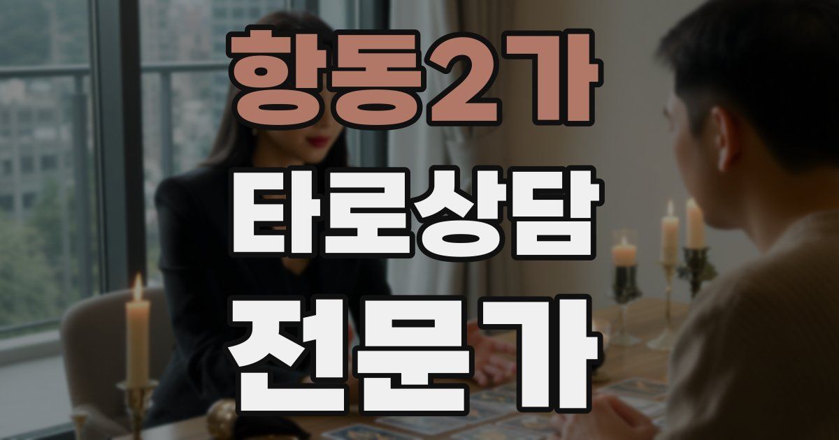 항동2가 타로상담전문가 자격증