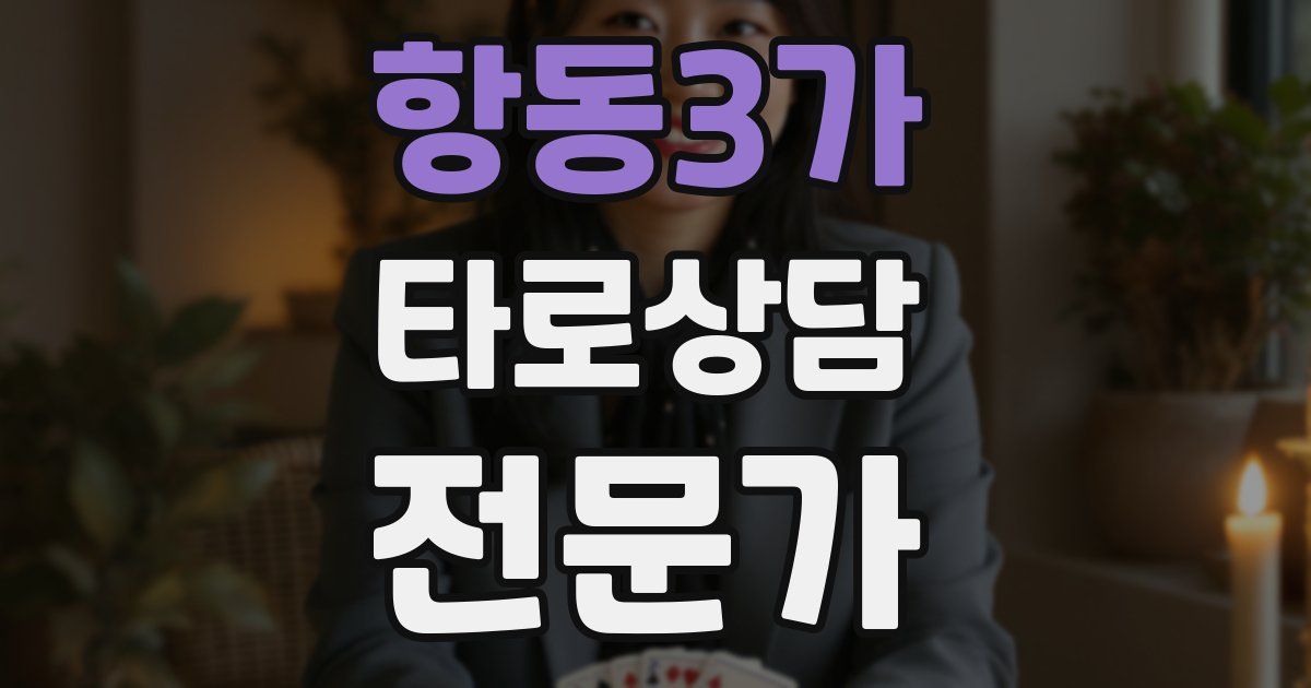 항동3가 타로상담전문가 자격증