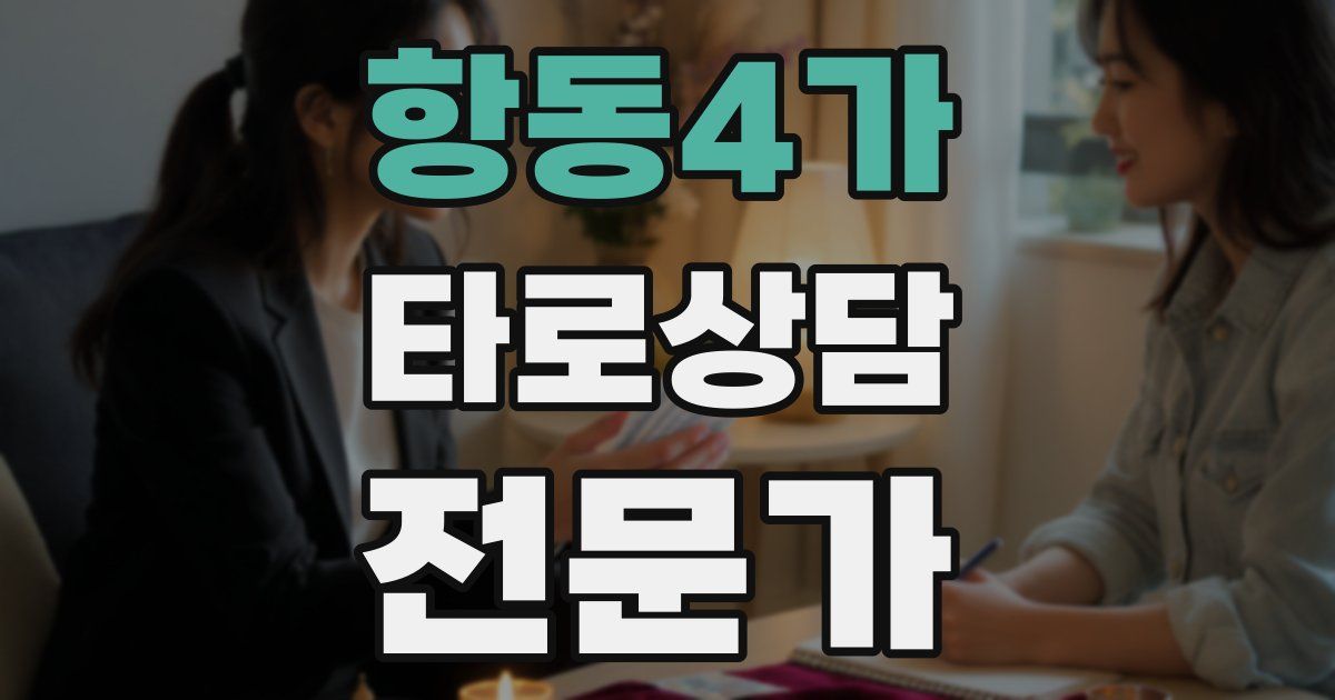 항동4가 타로상담전문가 자격증