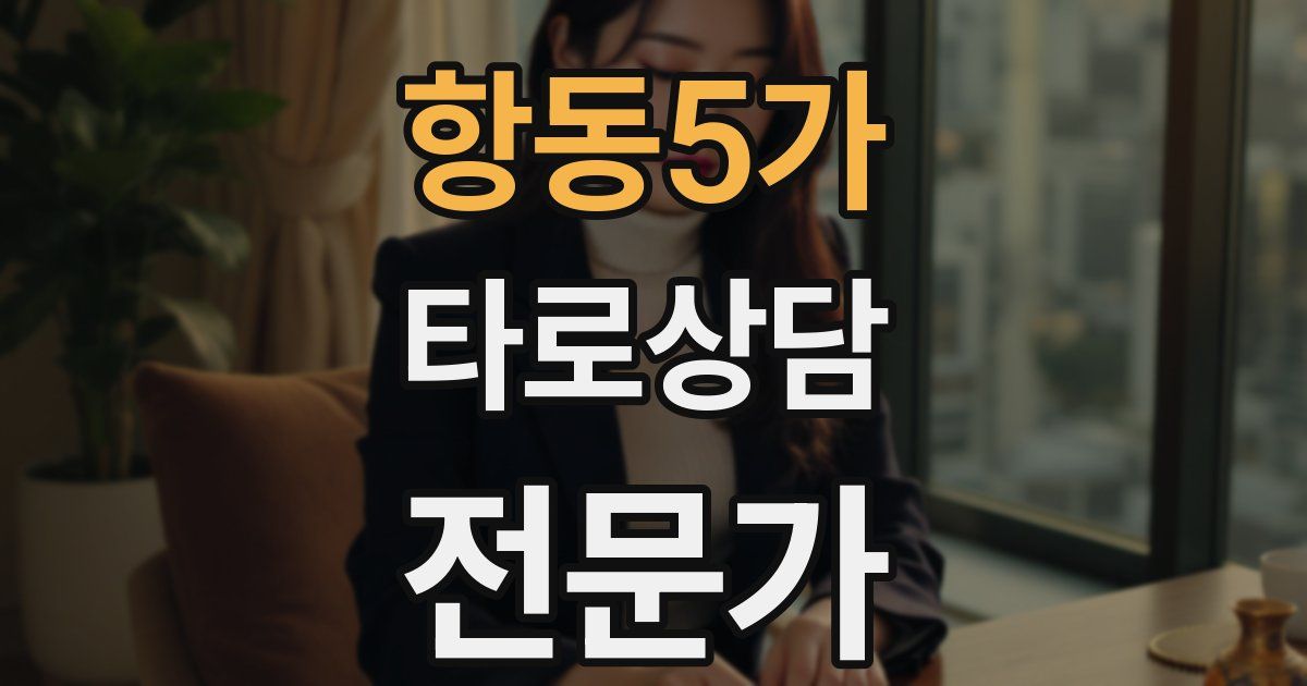 항동5가 타로상담전문가 자격증