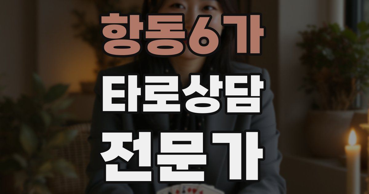 항동6가 타로상담전문가 자격증