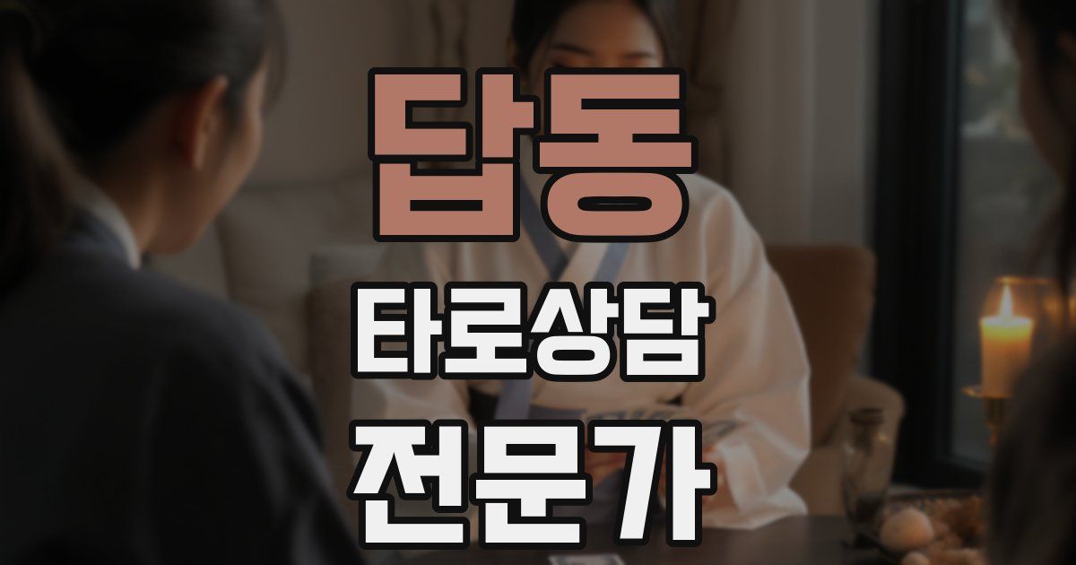 답동 타로상담전문가 자격증