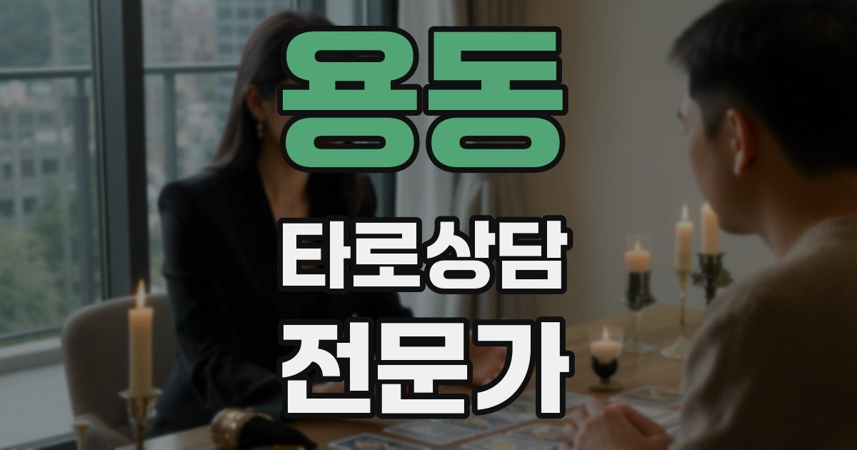 용동 타로상담전문가 자격증