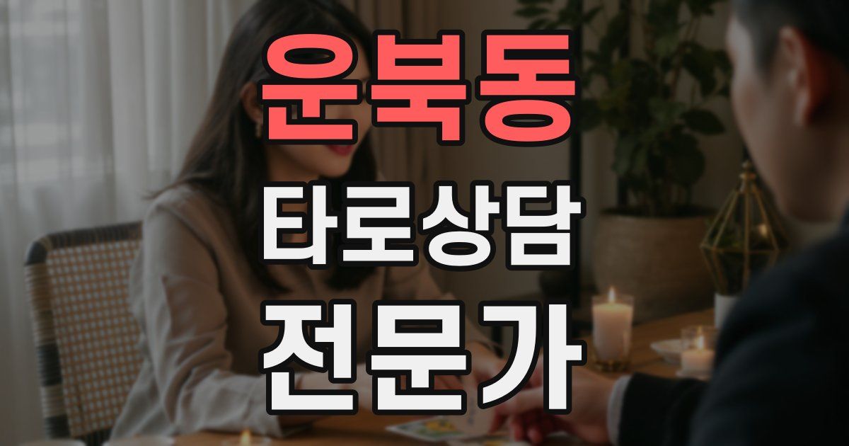운북동 타로상담전문가 자격증