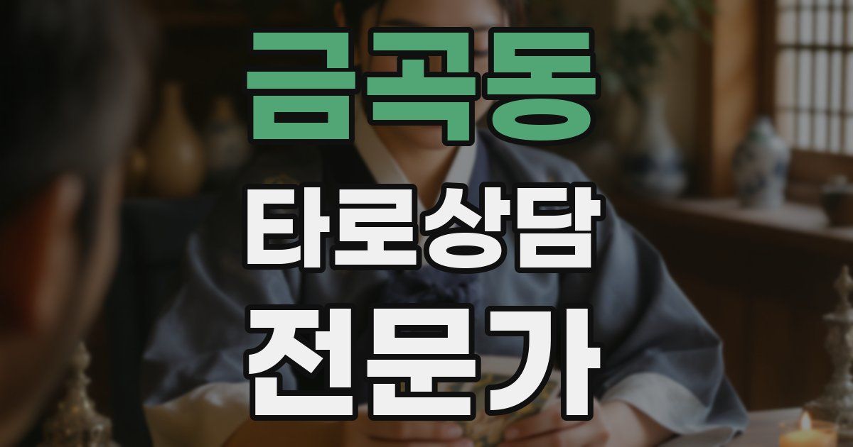 금곡동 타로상담전문가 자격증
