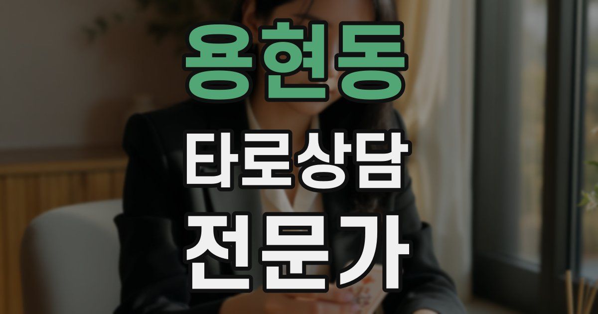 용현동 타로상담전문가 자격증