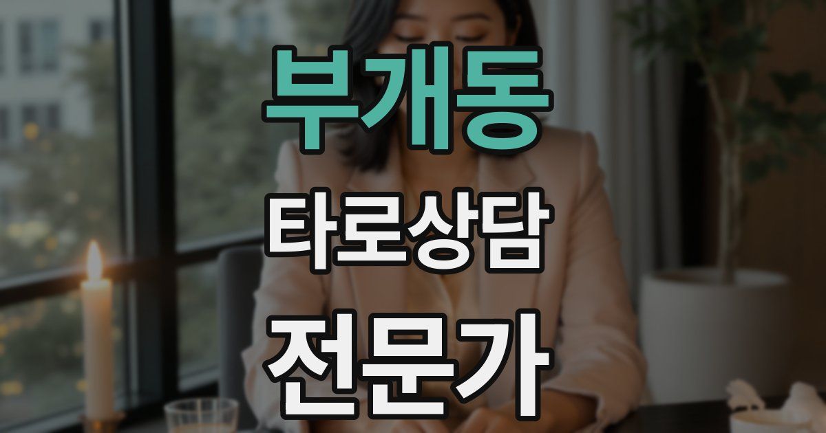 부개동 타로상담전문가 자격증