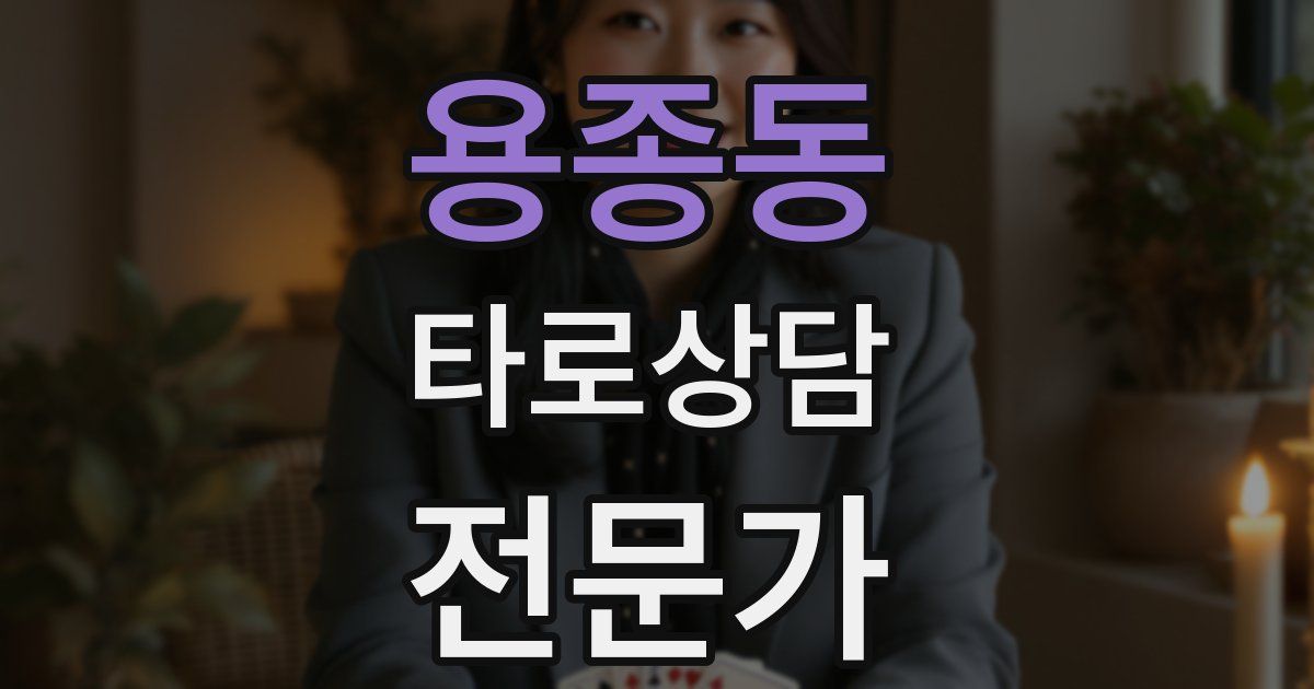 용종동 타로상담전문가 자격증
