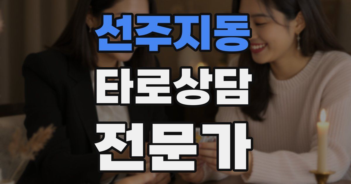 선주지동 타로상담전문가 자격증