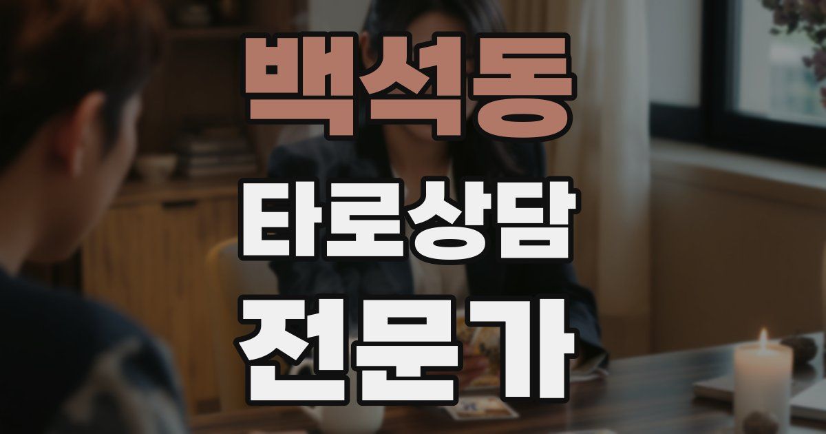 백석동 타로상담전문가 자격증