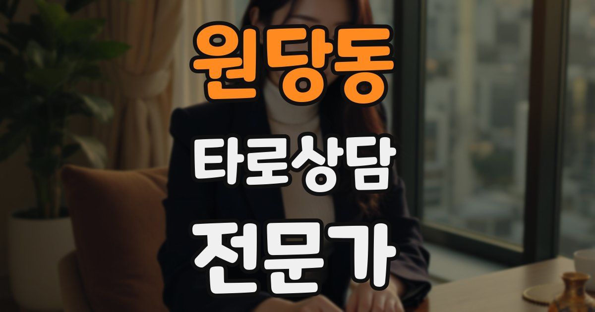 원당동 타로상담전문가 자격증