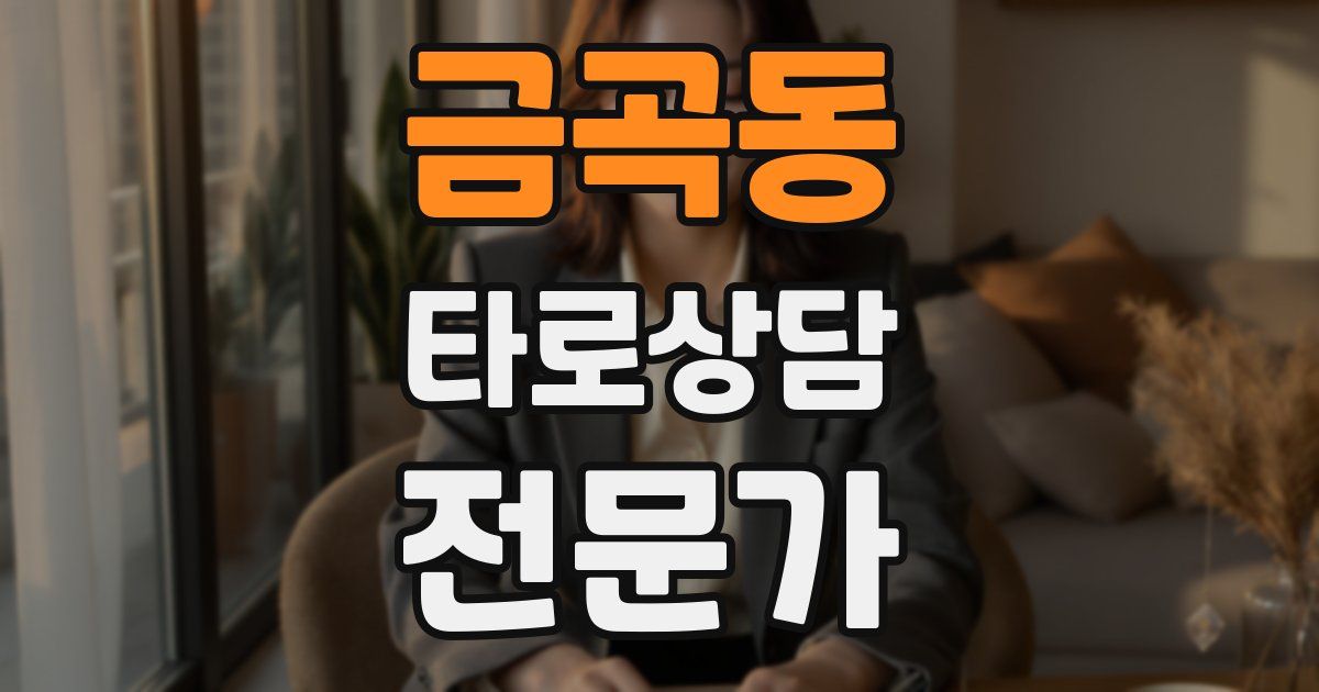 금곡동 타로상담전문가 자격증