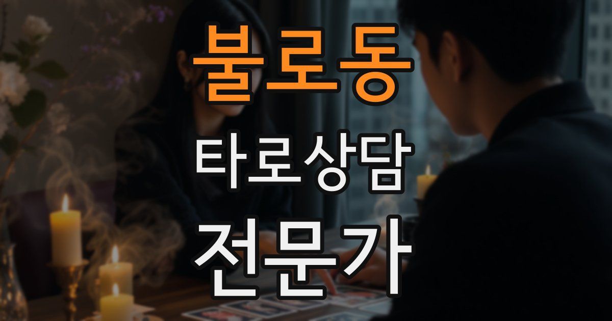 불로동 타로상담전문가 자격증