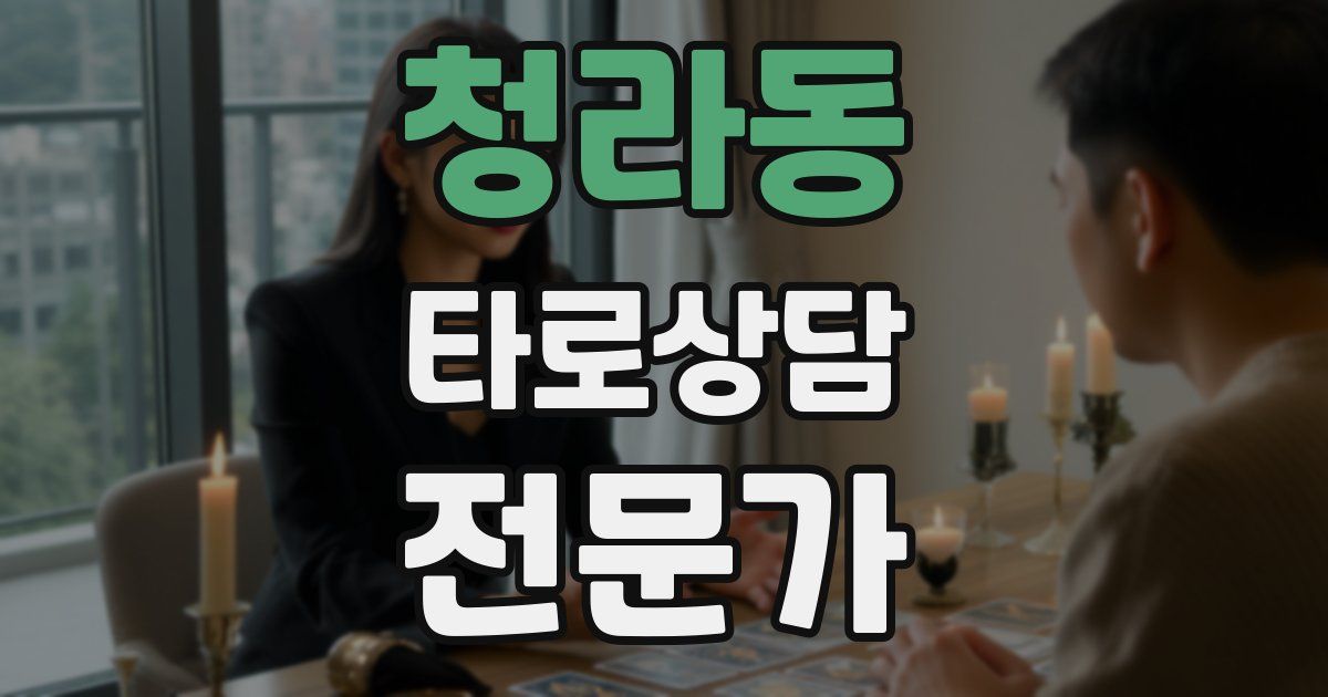 청라동 타로상담전문가 자격증