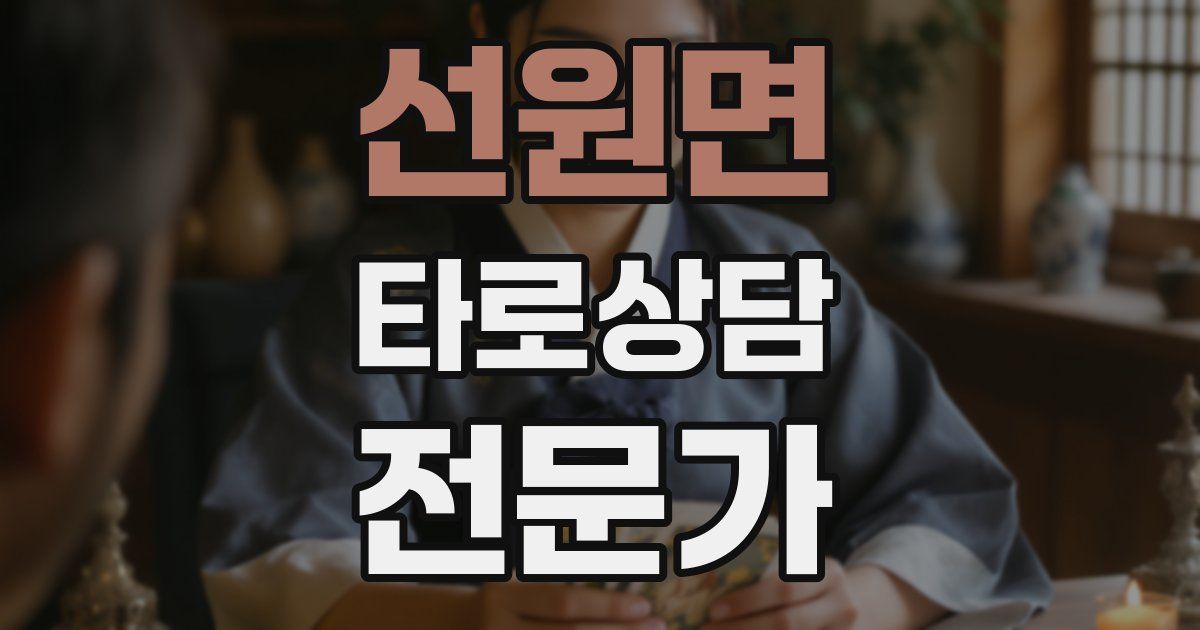 선원면 타로상담전문가 자격증