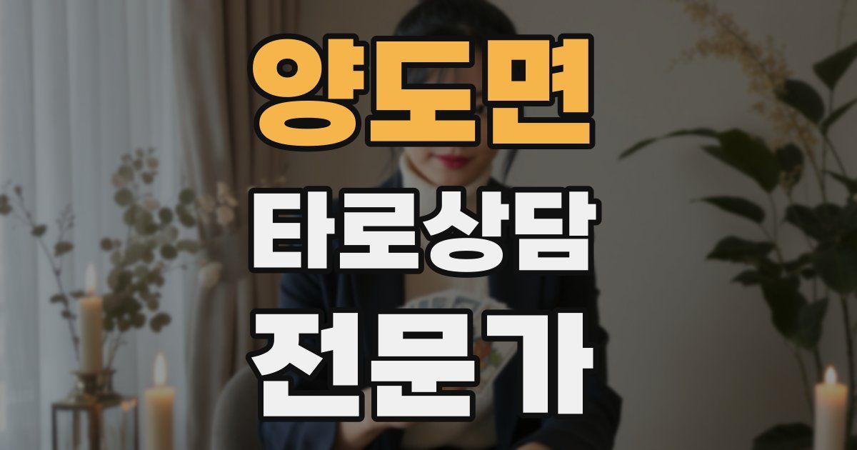 양도면 타로상담전문가 자격증