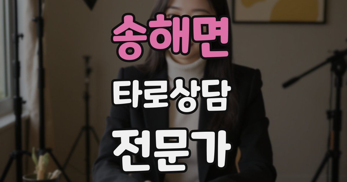 송해면 타로상담전문가 자격증