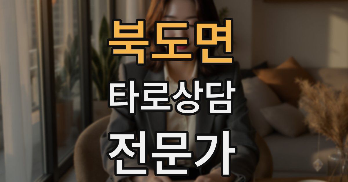 북도면 타로상담전문가 자격증