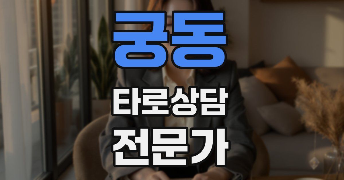 궁동 타로상담전문가 자격증