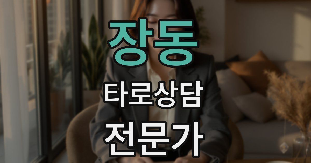 장동 타로상담전문가 자격증