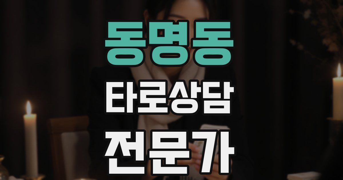 동명동 타로상담전문가 자격증