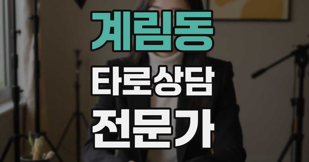 계림동 타로상담전문가 자격증