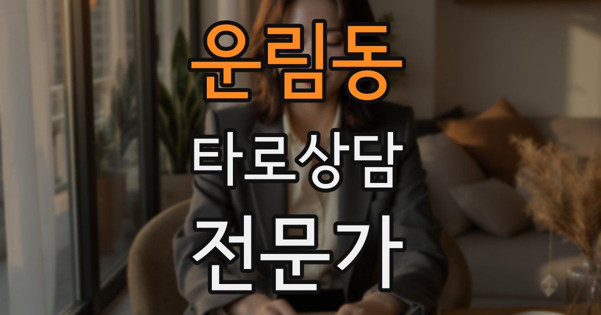 운림동 타로상담전문가 자격증