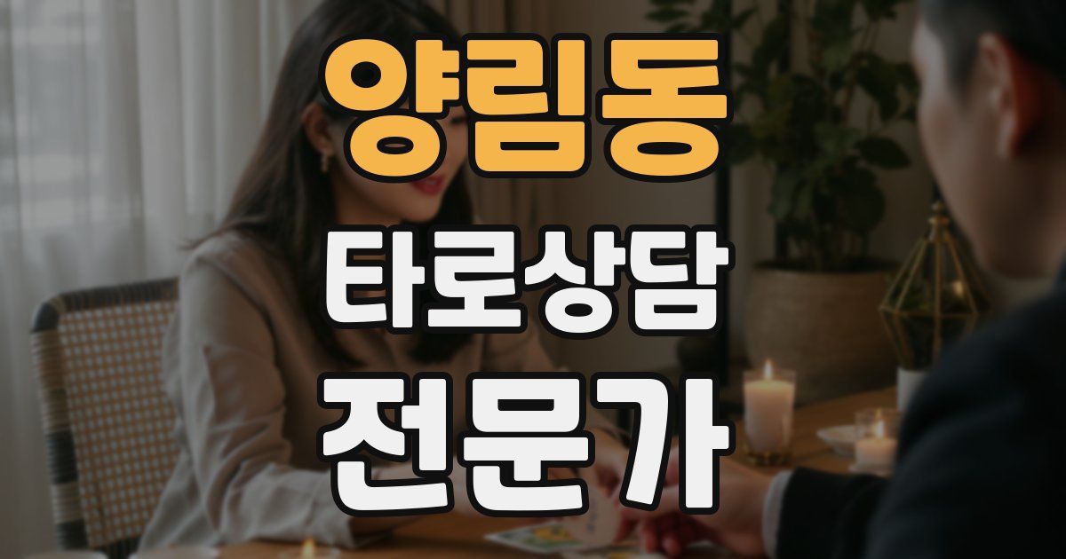 양림동 타로상담전문가 자격증