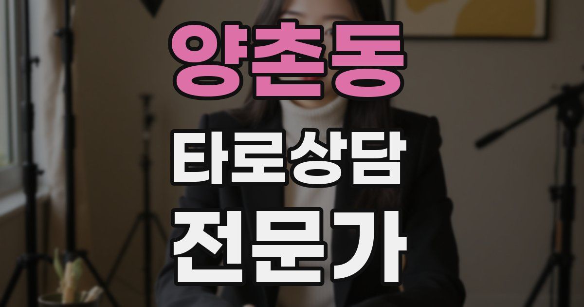 양촌동 타로상담전문가 자격증